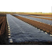 Геотекстиль П-130 (3,2*25м) - чорний /// GF AGRO   (Польща)